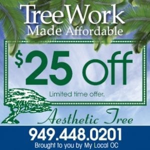 Aesthetic Tree Care on My Local OC