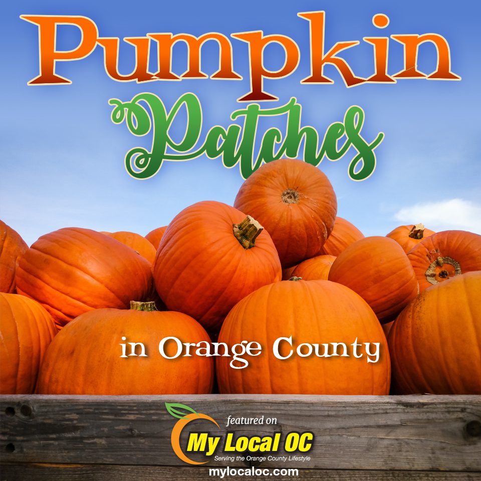 Pumpkin Patches in Orange County