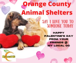 Orange County Animal Shelters