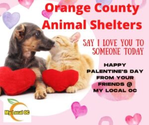 Orange County Animal Shelters